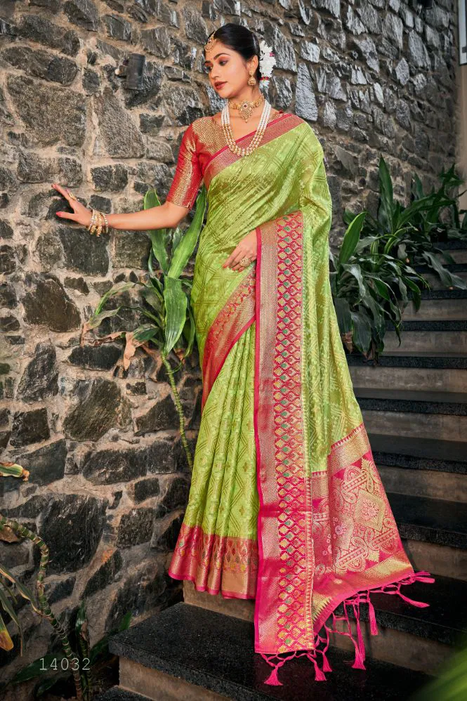 Bunawat Juhi Embroidered Organza Designer Sarees Catalog
